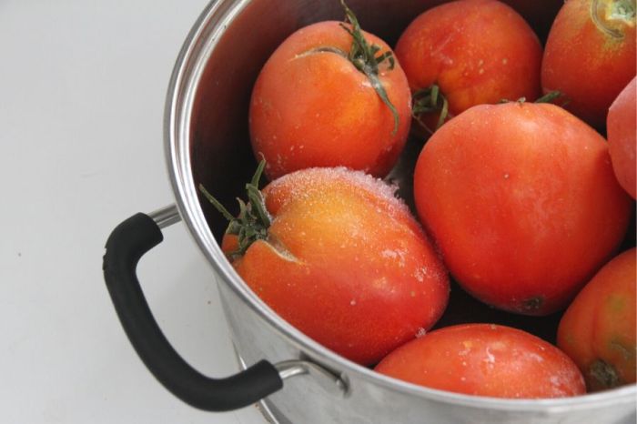 Freezer tomato sauce recipe