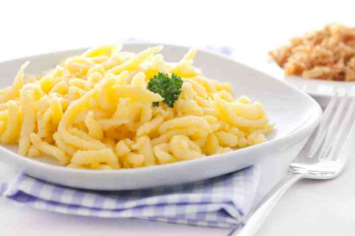 Easy spaetzle sauce recipe