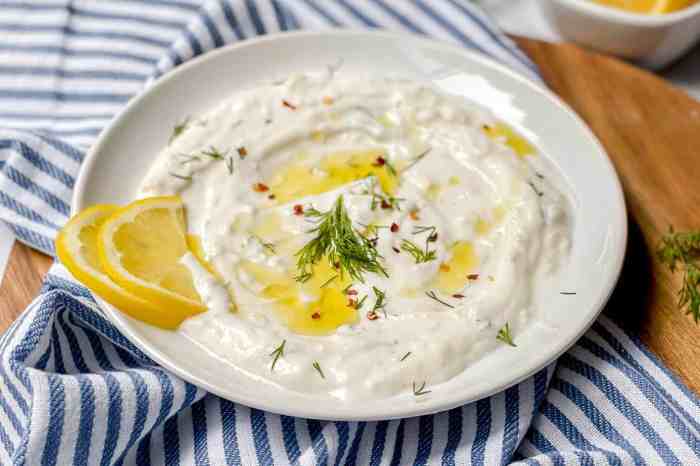 Yogurt dill salmon creamy